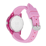 ICE cartoon Bubblegum